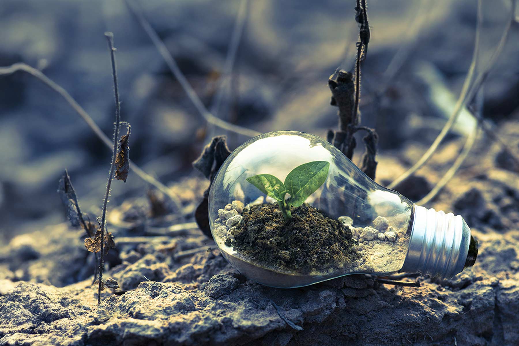 If your company hasn’t measured its carbon footprint yet, you could be losing competitiveness and efficiency.